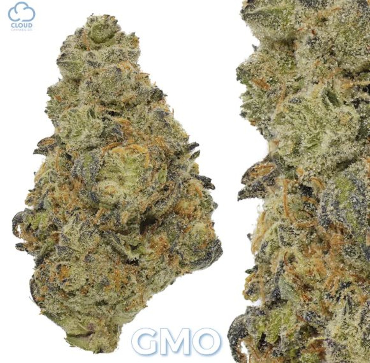 Strains (Flower) 
For the canna-sseur:
GMO Cookies, $20 per gram
Cloud Cannabis, 1760 Plymouth Rd., Ann Arbor; 734-619-1204; cloudcannabis.com
When it comes to understanding marijuana strains, one must respect the percentages associated with strains, because that will determine whether you're going to work high or calling in because you can't discern your face from a mountain. Wait, what? Anyway, canna-sseurs know what they can handle, and it&#146;s likely they can handle a lot of THC &#151; like, 31.5% THC, as provided by GMO Cookies. GMO Cookies, which has nothing to do with genetically modified anything, is a top-shelf cross between Chemdawg D and GSC (Girl Scout Cookies). The result? An uplifting and relaxing 31.5% high. For the newbies wondering, is 31.5% a lot? Trust us. It is. 
Photo via Weedmaps