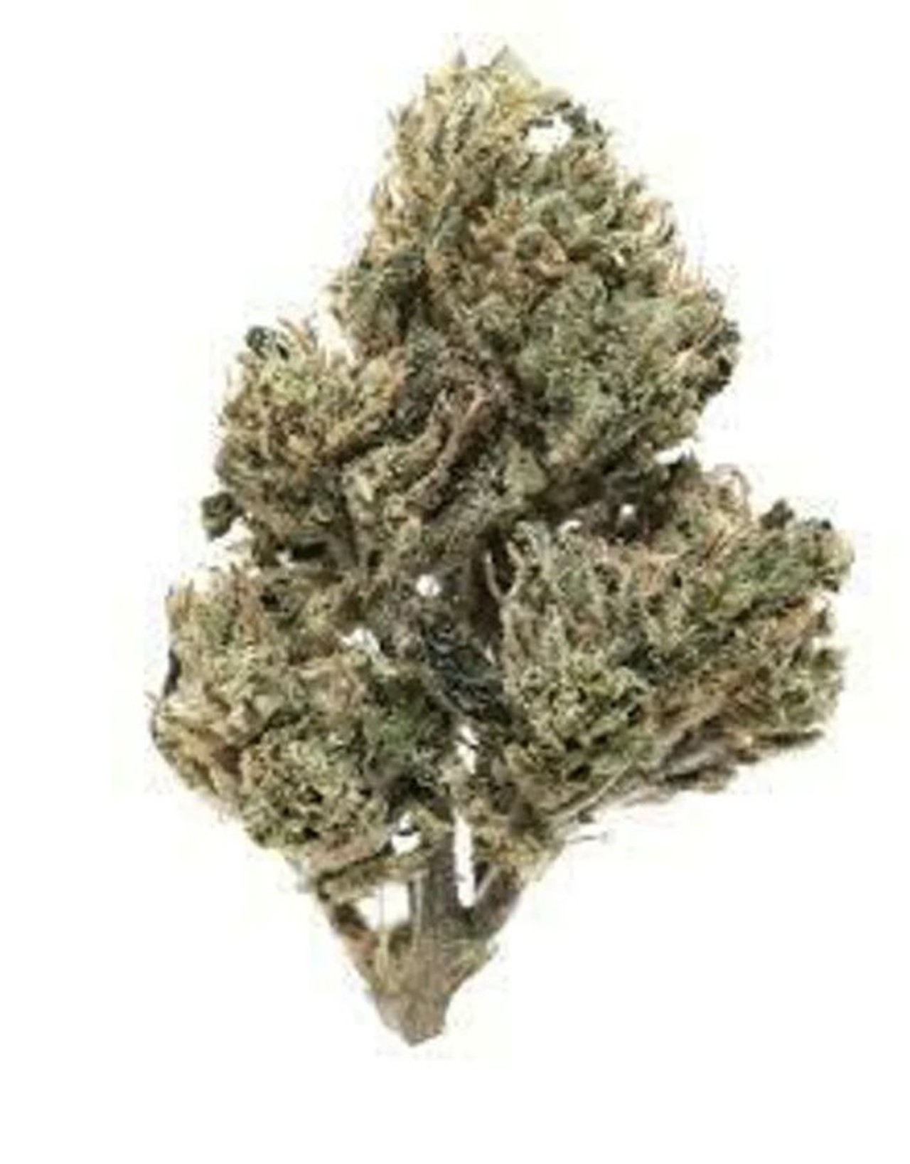 Strains (Flower) 
For the canna-curious: 
Harlequin, $55 per eighth 
Huron View Dispensary, 3152 Packard St., Ann Arbor; 734-882-2970; 
a2huronview.com
We know what you're thinking. Metro Times, like, we might be canna-curious, but we're not canna-weak. We hear you, but when it comes to exploring your reactions to weed and building your tolerance, it&#146;s critical to start low and slow, which is why we've nominated this light strain as being one of the best for new smokers. Harlequin, a sativa-dominant strain, is a cross between a Nepali Indica and two strains out of Thailand and Switzerland. Known for its high CBD content (10%) and mild THC percentage (8.6%), Harlequin is the training wheels of weed. Like anything weed-related, you can always add/increase your high, but taking it away, toning it down, and pumping the brakes is, well, impossible. 
Photo via Weedmaps