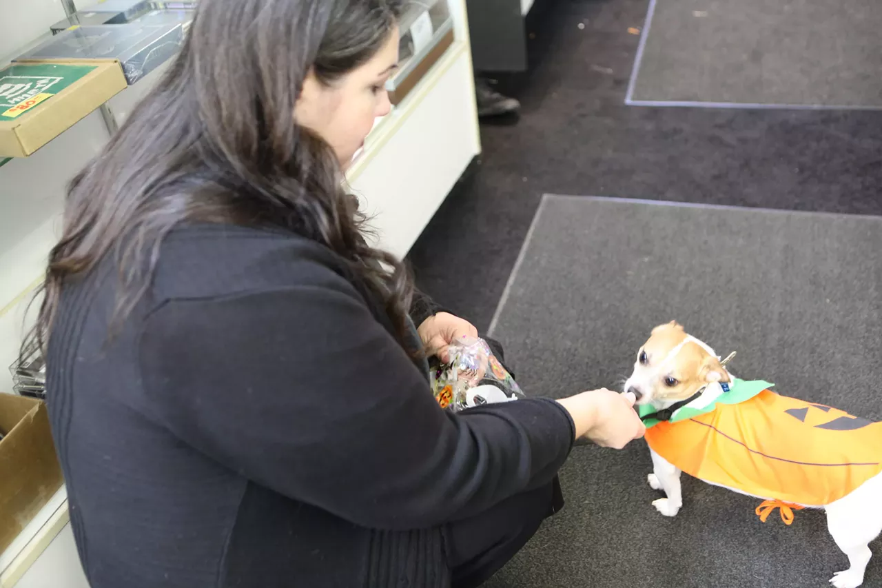 Image: All the adorable dogs we saw at Stormy Records Halloween costume contest