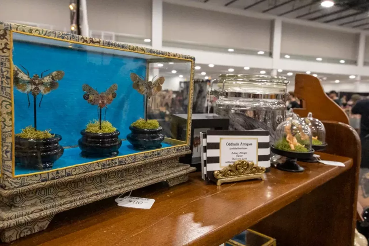 Image: All the freaks we saw at the 2021 Oddities and Curiosities Expo at Novi's Suburban Collection Showplace