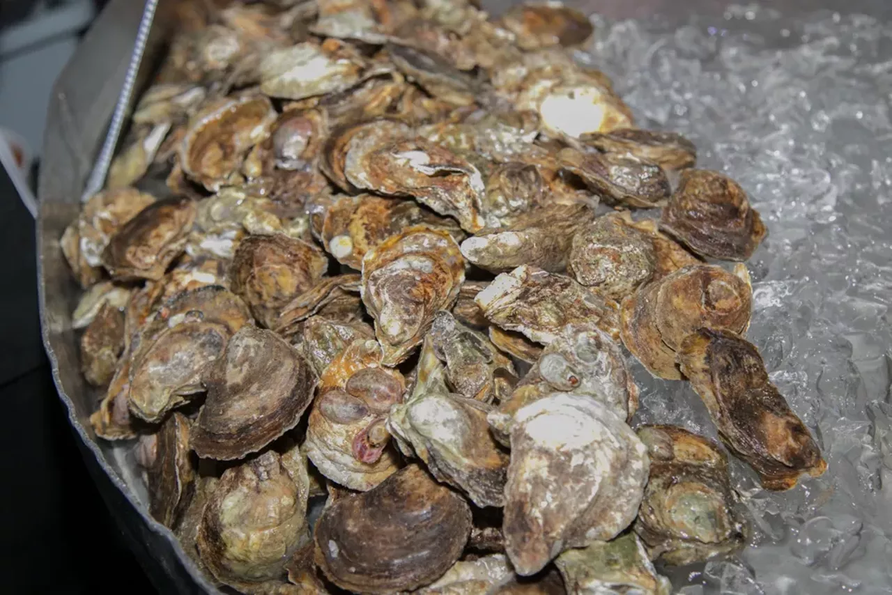 Image: All the people, food, and oysters we saw at Shuck Yeah!
