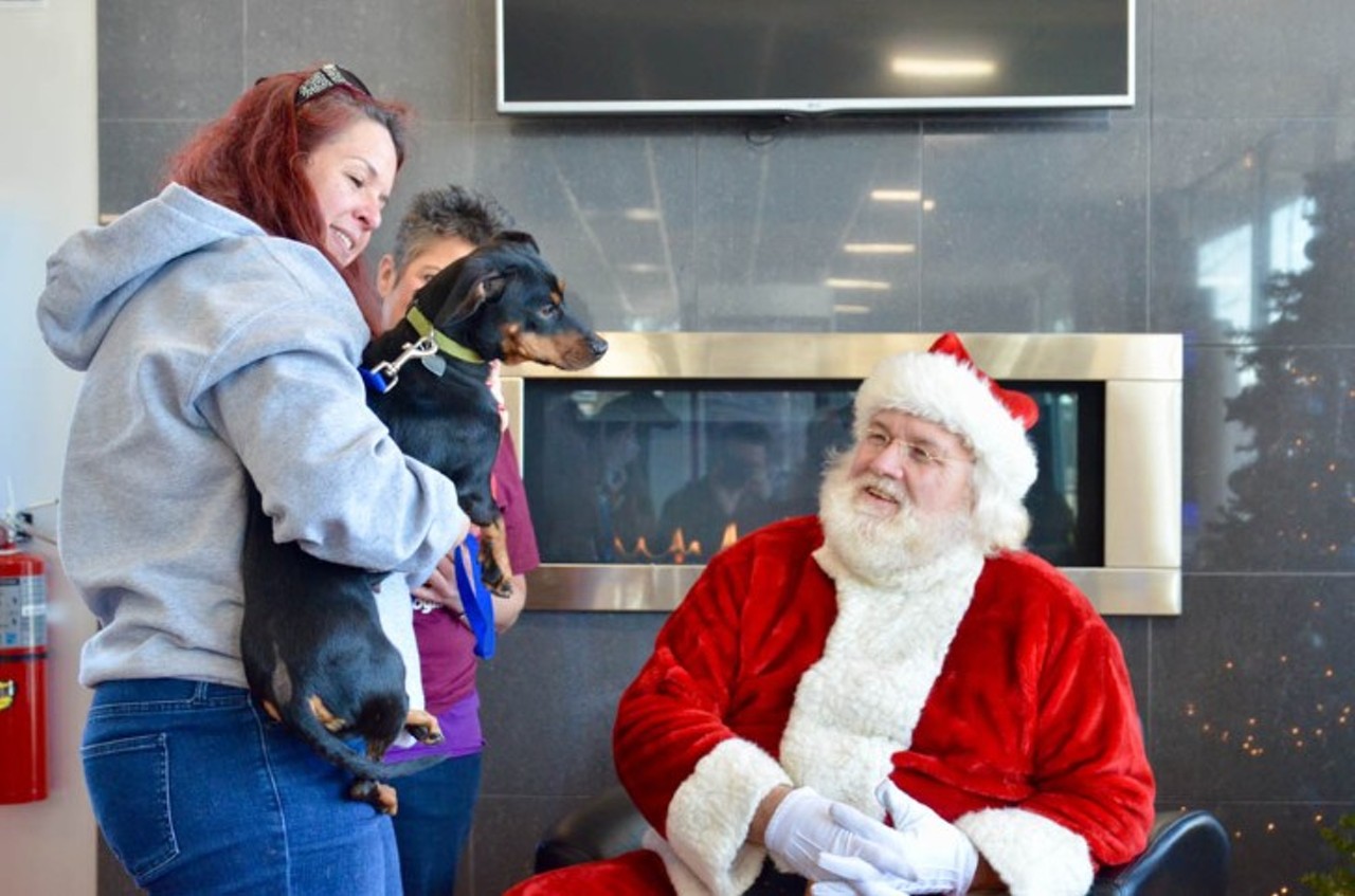 All the pups who met Santa at Hodges Subaru's iHEARTDOGS donation drive