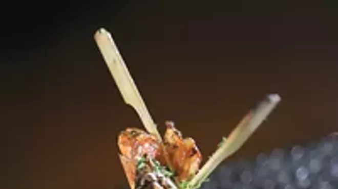 Image: Bambu