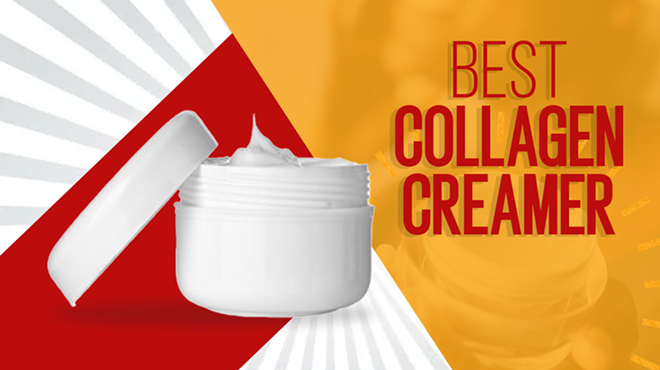 Best Collagen Creamers Ranked 2022
