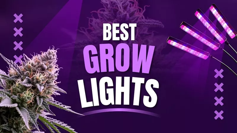Image: Best Grow Lights: 6 Best LED Grow Lights for Cultivating Cannabis and Other Herbs