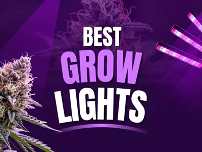 Image: Best Grow Lights: 6 Best LED Grow Lights for Cultivating Cannabis and Other Herbs
