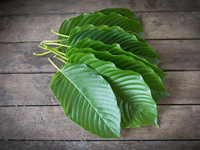 Image: Best Kratom for Pain: Strains, Dosage & Reviews