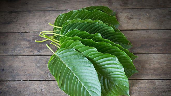 Image: Best Kratom for Pain: Strains, Dosage & Reviews