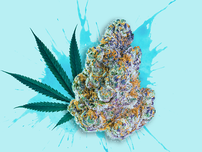 Best THCA Flower: 10 Strongest THCA Flower Strains