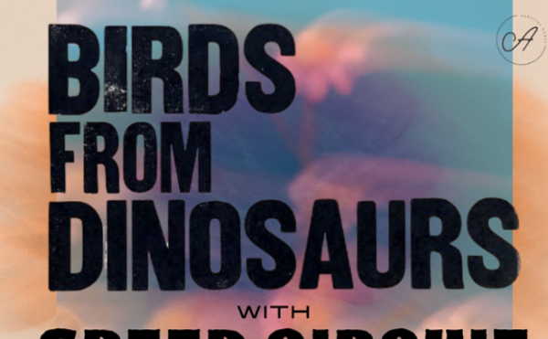 Image: Birds From Dinosaurs with Speed Circuit + The Lowcocks