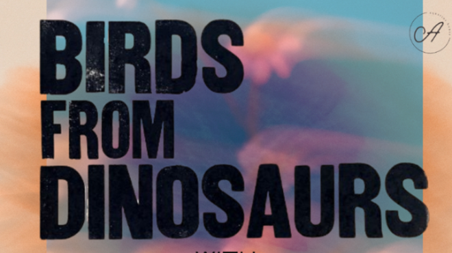 Image: Birds From Dinosaurs with Speed Circuit + The Lowcocks