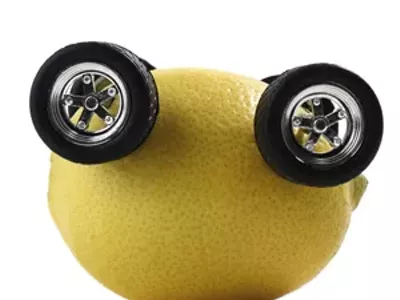 Image: Bitter fruit