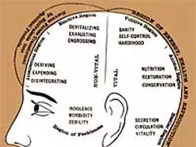 Image: Body basics