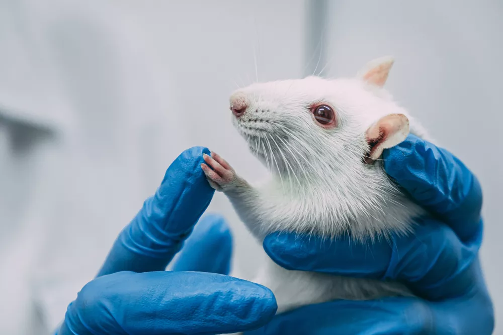 The University of Michigan was cited for botching the euthanasia of mice.