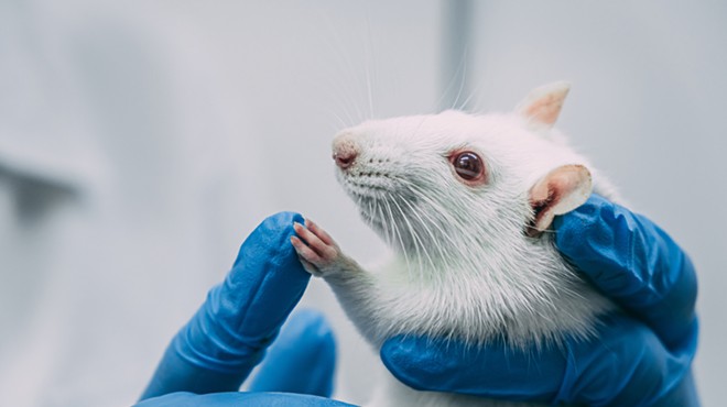 The University of Michigan was cited for botching the euthanasia of mice.