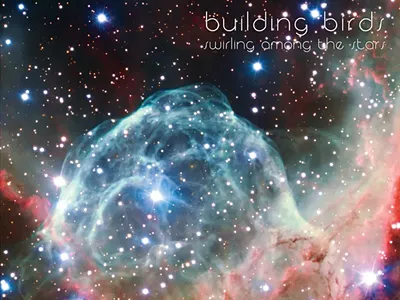 Image: Building Birds — Swirling Among the Stars