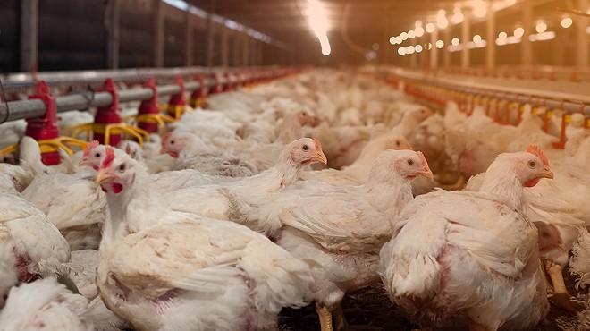 Coalition takes aim at factory farms in Michigan