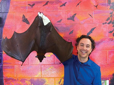 Community Spotlight: The Organization for Bat Conservation has been helping our furry, flying friends for nearly 20 years