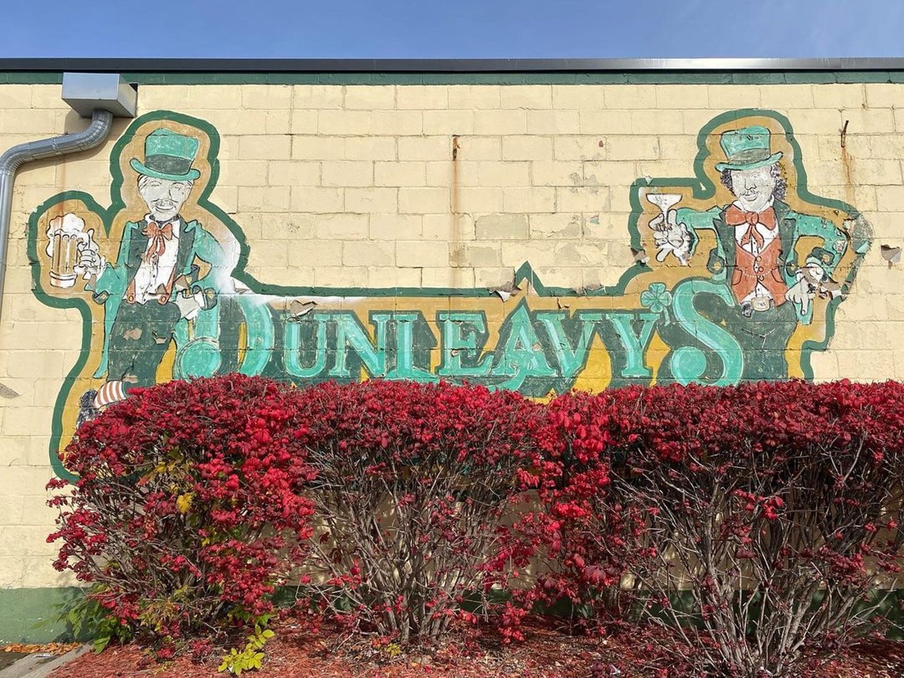 Dunleavy’s
6004 Allen Rd., Allen Park; 313-382-4545; dunleavypub.com 
Founded by brothers, this Downriver neighborhood favorite features a menu of typical bar fare with some Irish staples.