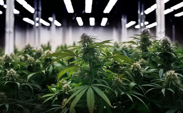 Michigan regulators fined 27 dispensaries and processors in May for a variety of violations.