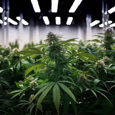Michigan regulators fined 27 dispensaries and processors in May for a variety of violations.