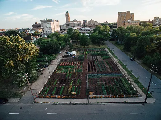 Michigan Urban Farming Initiative 7432 Brush St, Detroit, MI