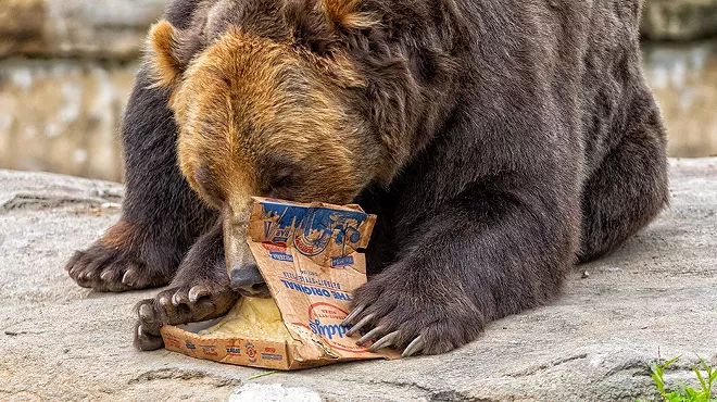 Image: Detroit Zoo animals got Buddy’s Pizza for lunch