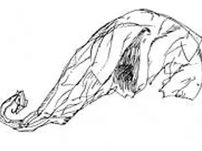 Image: Diecisiete