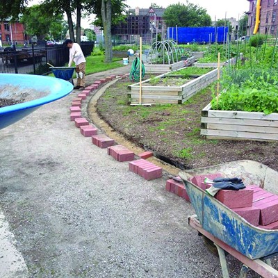 Urban Farms and Gardens of Detroit