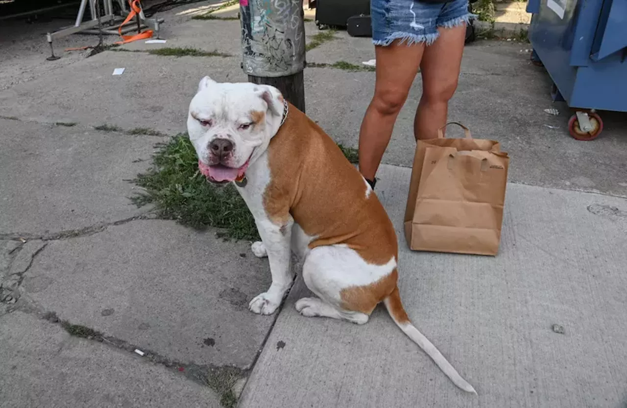 Image: Everyone we saw at the return of Dally in the Alley