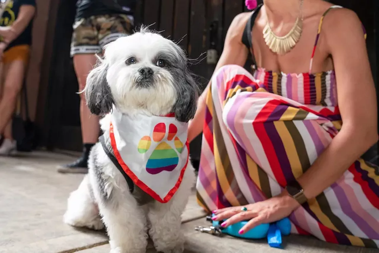 Image: Everyone we saw jamming at Lesbian Social Detroit's Block Party