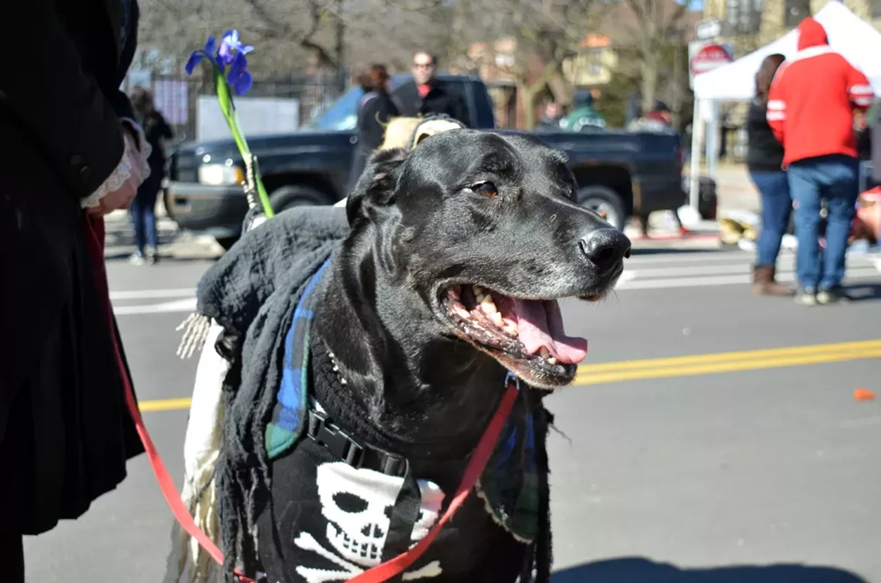 Image: Everything we saw at the 2018 Marche du Nain Rouge