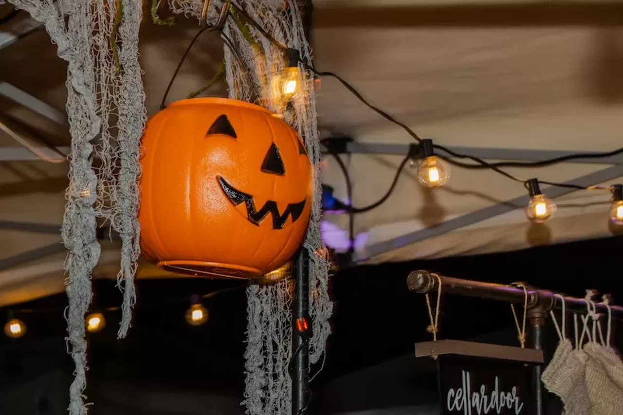 Image: Everything we saw at the DIY Street Fair in Ferndale