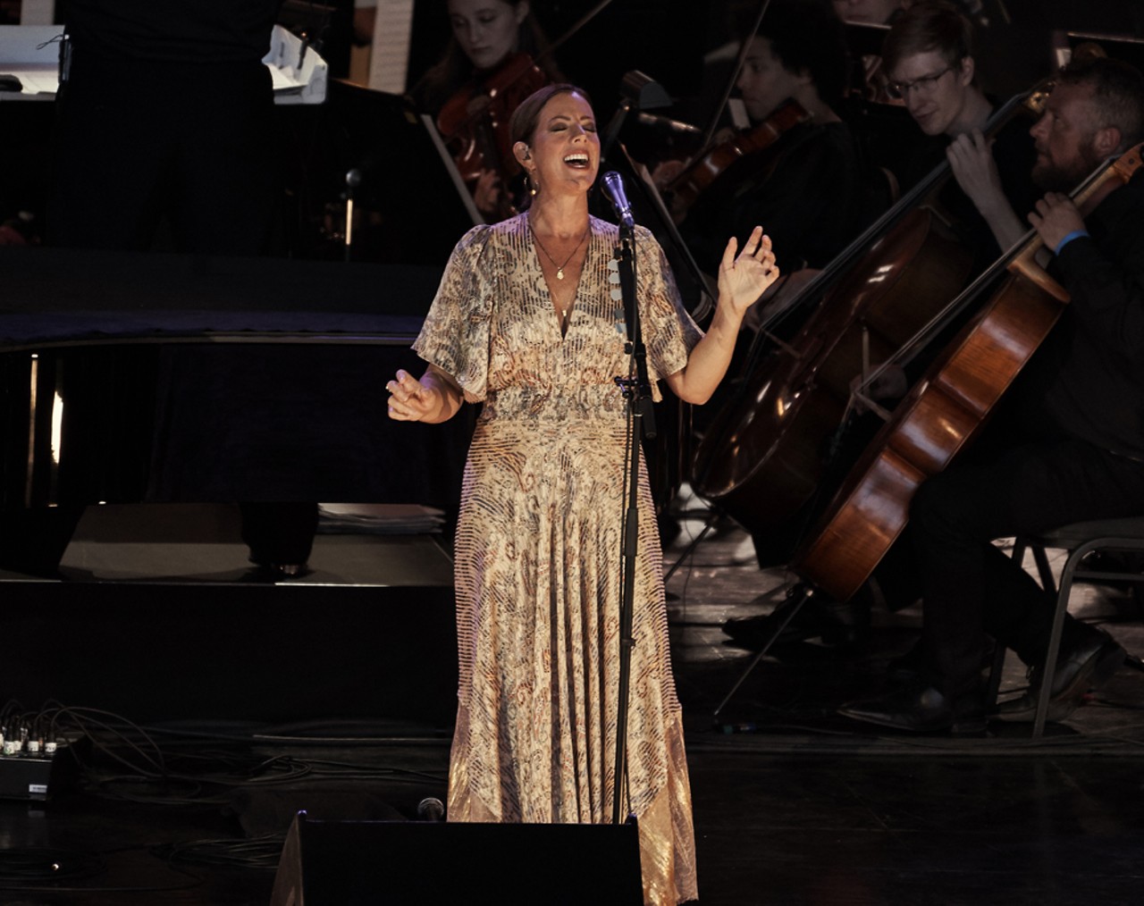 Everything we saw at the Sarah McLachlan show at Meadow Brook Amphitheatre