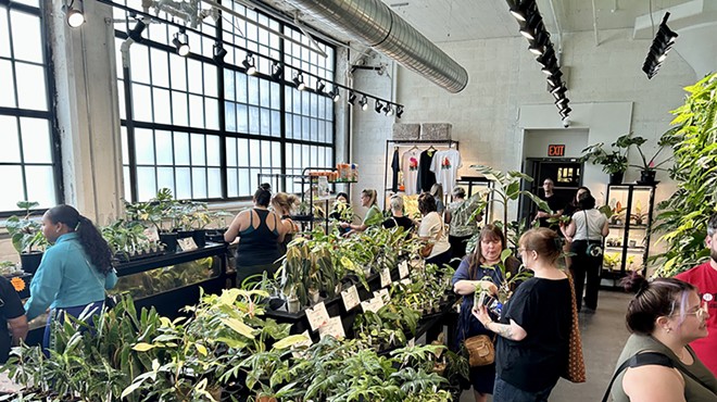 The Detroit-based Rare Plant Fairy is internationally known.