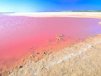 Image: Finding Magic at Every Pink Lake Australia Has to Offer