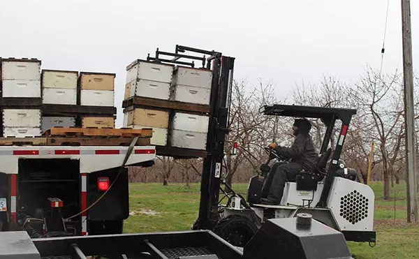 Michal Peterson unloads hives from a truck on Wunsch Farms. May 1, 2025.
