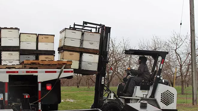Michal Peterson unloads hives from a truck on Wunsch Farms. May 1, 2025.