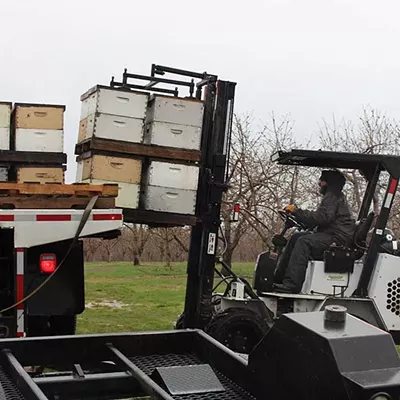 Michal Peterson unloads hives from a truck on Wunsch Farms. May 1, 2025.
