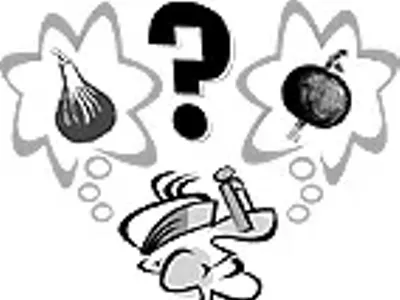 Image: Food stuff