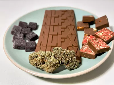 Terple Gang and Northern Lights are dedicated to high-quality cannabis.