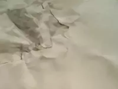 Image: Get fresh