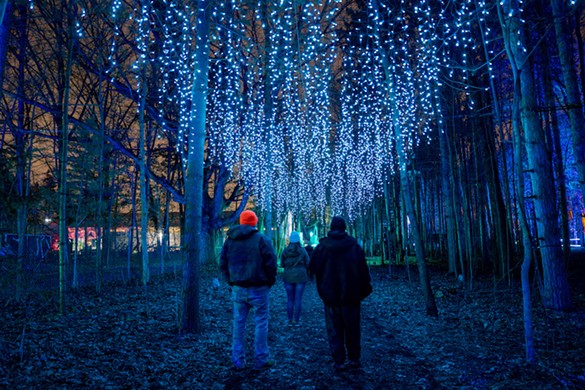 Glenlore Trails: Aurora in Commerce Township is a trippy winter wonderland &#151; let's take a look