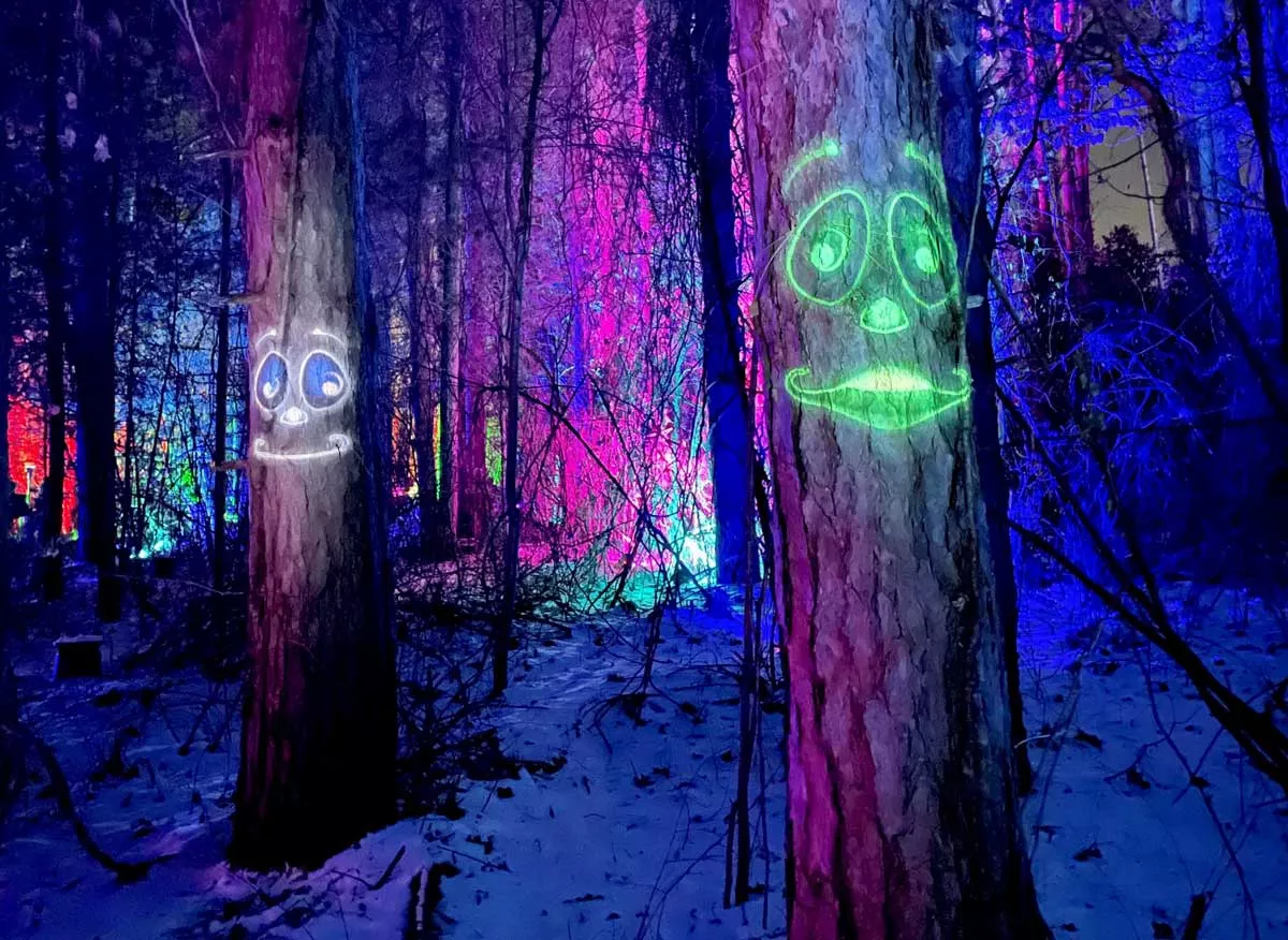 Image: Whimsical, illuminated faces light up Glenlore Trails.