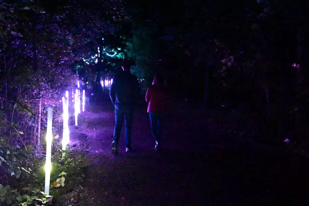 Image: Glenlore Trails' trippy and illuminated haunted forest is spookier than ever &#151;&nbsp;here's a preview