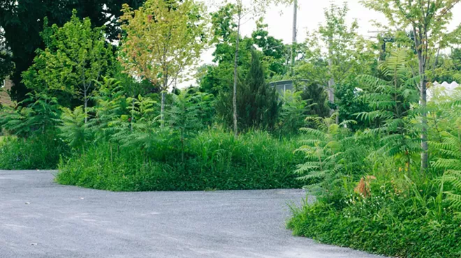 Image: Green parking lot in Detroit is brimming with 100+ trees