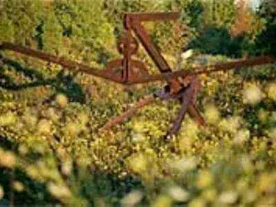 Image: Growing a garden