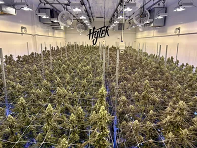 Hytek in Detroit is one of the leading cannabis cultivators in Michigan.