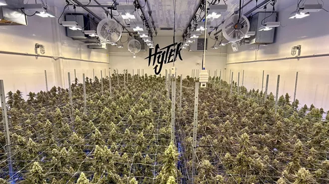 Hytek in Detroit is one of the leading cannabis cultivators in Michigan.