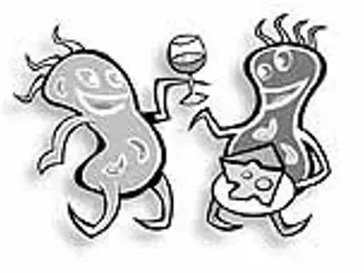 Image: It's a microbe's life